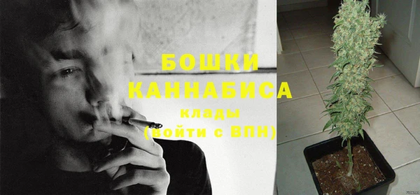 шишки Новодвинск