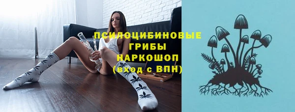 гашиш Новозыбков