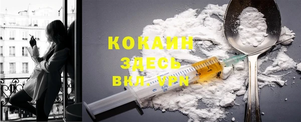 крисы Арсеньев