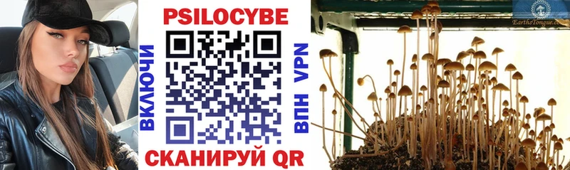 Галлюциногенные грибы MAGIC MUSHROOMS  где купить наркоту  Ступино 
